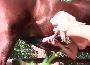 Blonde bitch getting it from a stallion