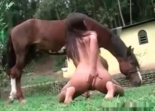 Big brown horse using her tight body
