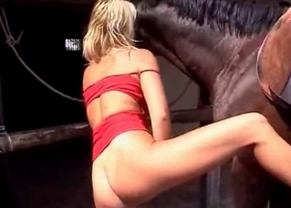 Kinky horse fucking outdoors