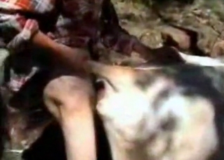 Old farm anal action