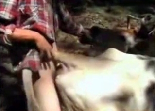 Old farm anal action