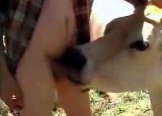 Old farm anal action
