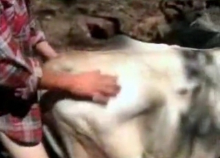Old farm anal action
