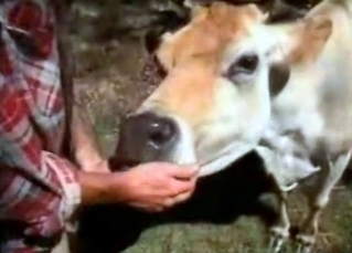 Old farm anal action