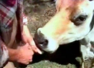 Old farm anal action