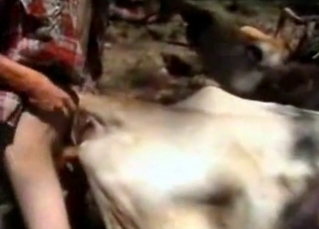 Old farm anal action