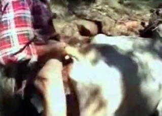 Old farm anal action