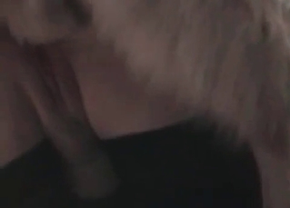 Redheaded bitch fucking a dog