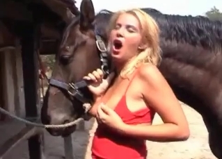 Stallion watching her get off