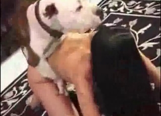Mutt fucking an irresistible slut