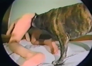 Horny dog doing good on camera