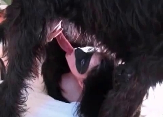 Tight pussy stretched out by a dog