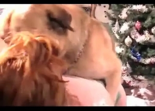 Slut gets double penetrated by dogs