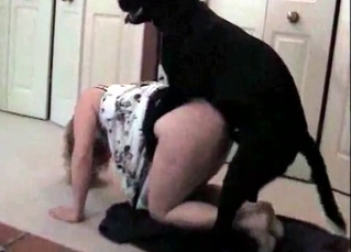 Dog gets a really naughty training