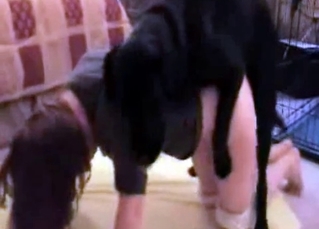 Dog gets a really naughty training