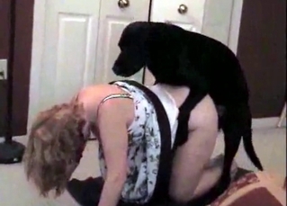 Dog gets a really naughty training