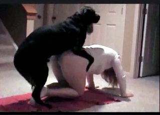 Dog gets a really naughty training