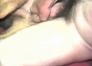Amazing dick for an amazing dog