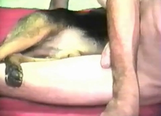 Amazing dick for an amazing dog
