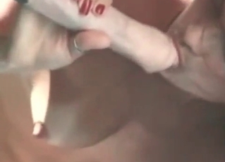 Spicy Latina blowing a horse