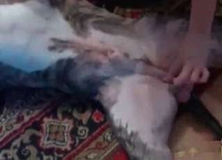 Handjob action for a doggy