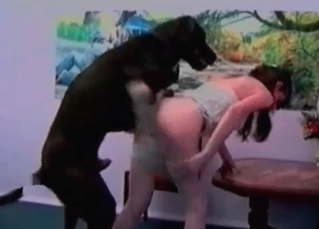 Black Doberman licking her real good