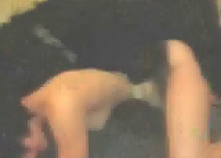Animals sex for the amateur