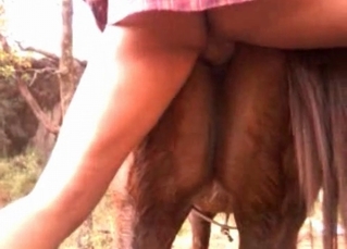 Anal sex with a cute pony
