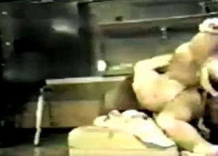 Hot dog fucking its owner