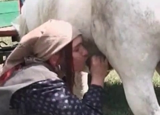 Horse cock drilling this farm slut