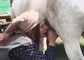 Horse cock drilling this farm slut