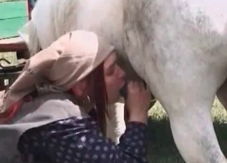 Horse cock drilling this farm slut