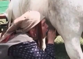 Horse cock drilling this farm slut