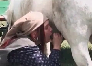 Horse cock drilling this farm slut