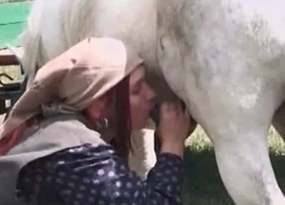 Horse cock drilling this farm slut