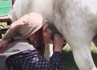 Horse cock drilling this farm slut