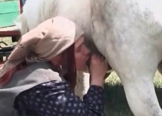Horse cock drilling this farm slut