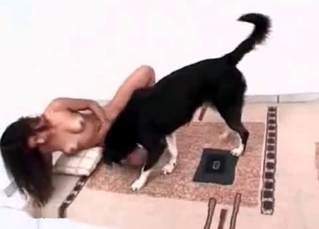 Dog fucking a petite slut