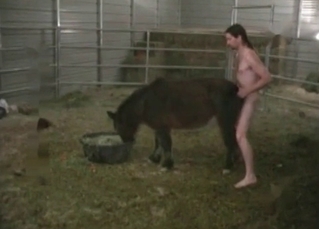 Horse’s juicy asshole penetrated