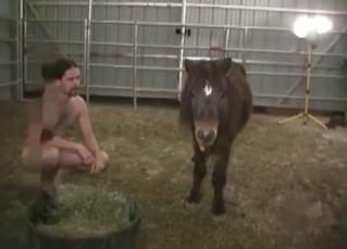 Horse’s juicy asshole penetrated