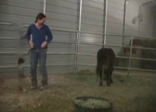 Horse’s juicy asshole penetrated