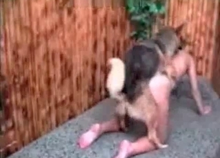 First-time animal sex