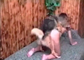 First-time animal sex