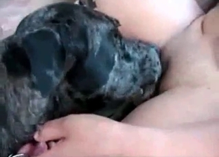 Kinky dog fucking chicks