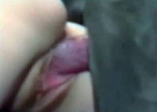 Tight pussy filled with dog cum