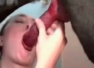 Amazing dog getting a BJ