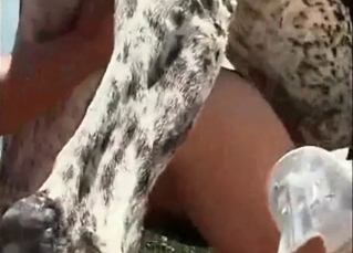 Doggy aggressively fucking