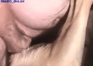 Incredible 69 action with animals