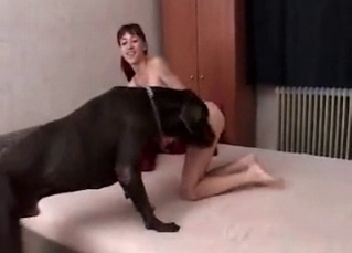 Exquisite Doberman banging