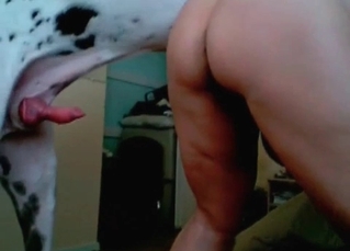 Hardcore banging with a lusty dog